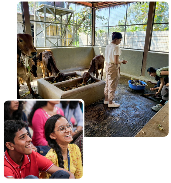 Students discussing about certified programs