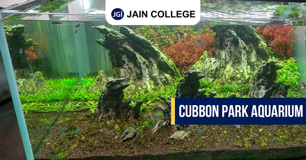 parks  in Bangalore
