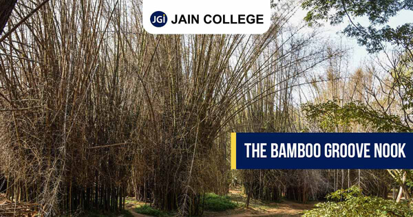 Bamboob groove park in Bangalore