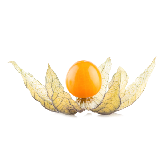 List of 50 Dry Fruit Names in English