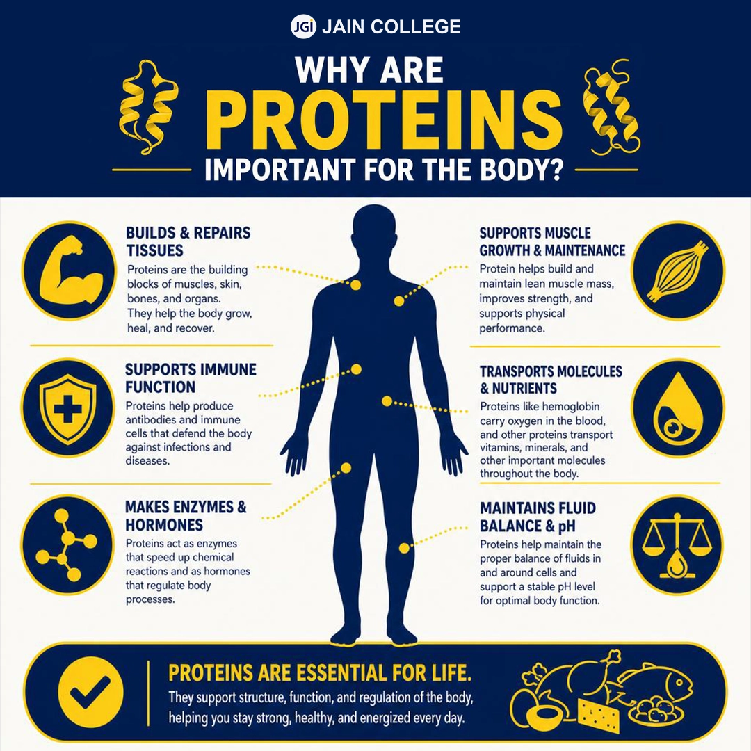 Why proteins are important for the body and their role in growth, repair, and overall health