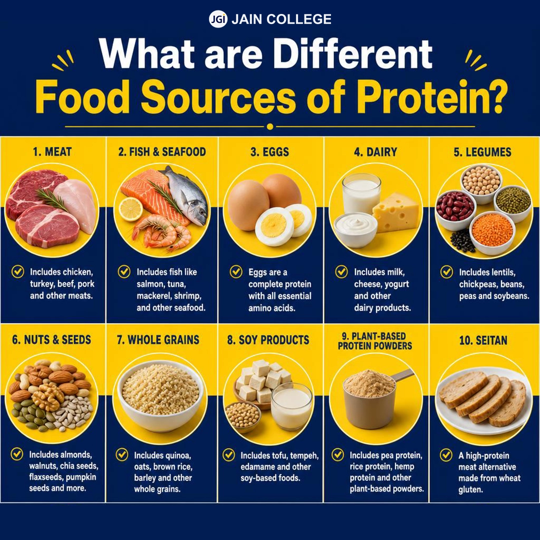 Different protein-rich foods from animal and plant sources for a balanced diet