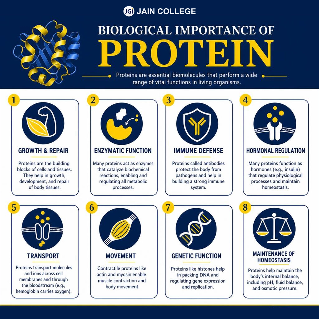 Biological significance of proteins in cellular processes and body development
